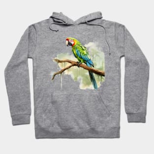 Military Macaw Hoodie